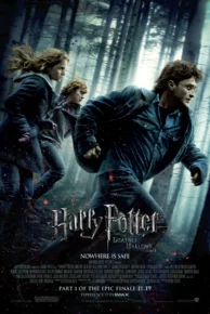 Harry Potter and the Deathly Hallows: Part 1 (2010) แฮร์รี่ พอตเตอร์ กับเครื่องรางยมทูต ภาค 1